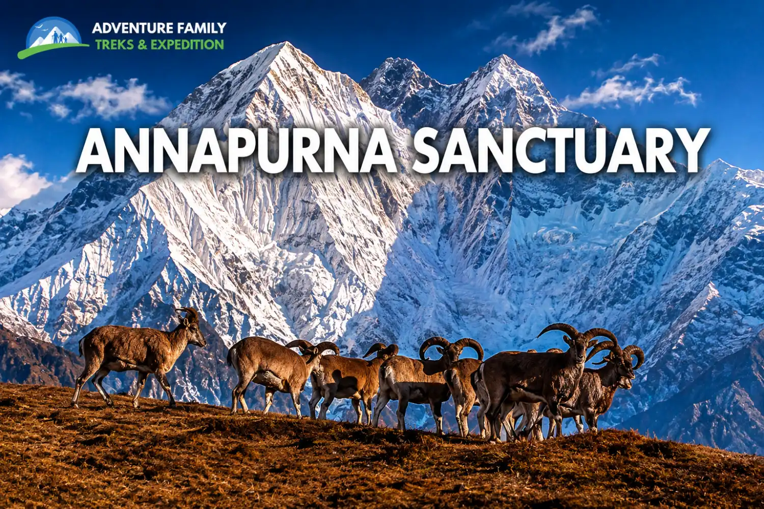 Annapurna Sanctuary: The Heart of the Base Camp Trek