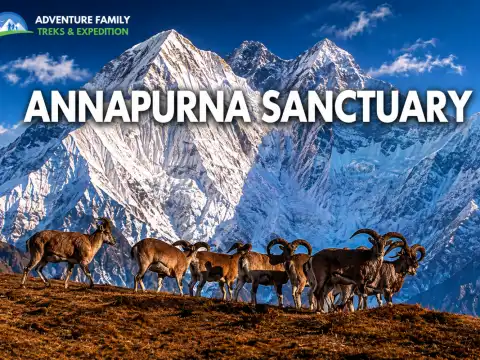 Annapurna Sanctuary: The Heart of the Base Camp Trek