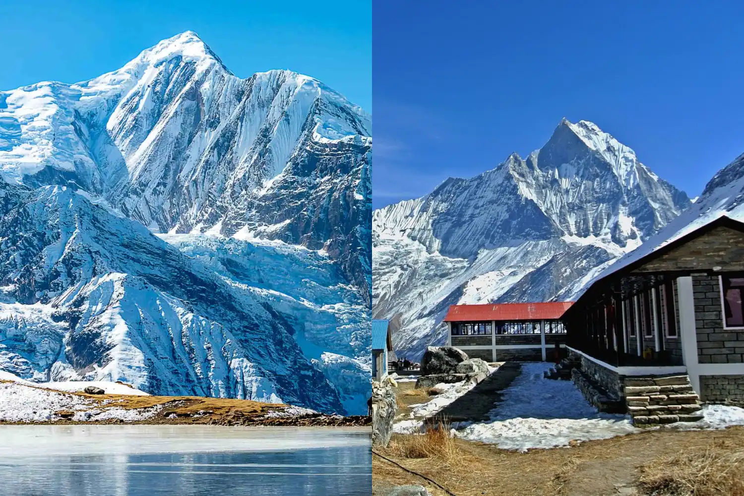 Annapurna Base Camp vs Annapurna Circuit: Which Trek Should You Choose?