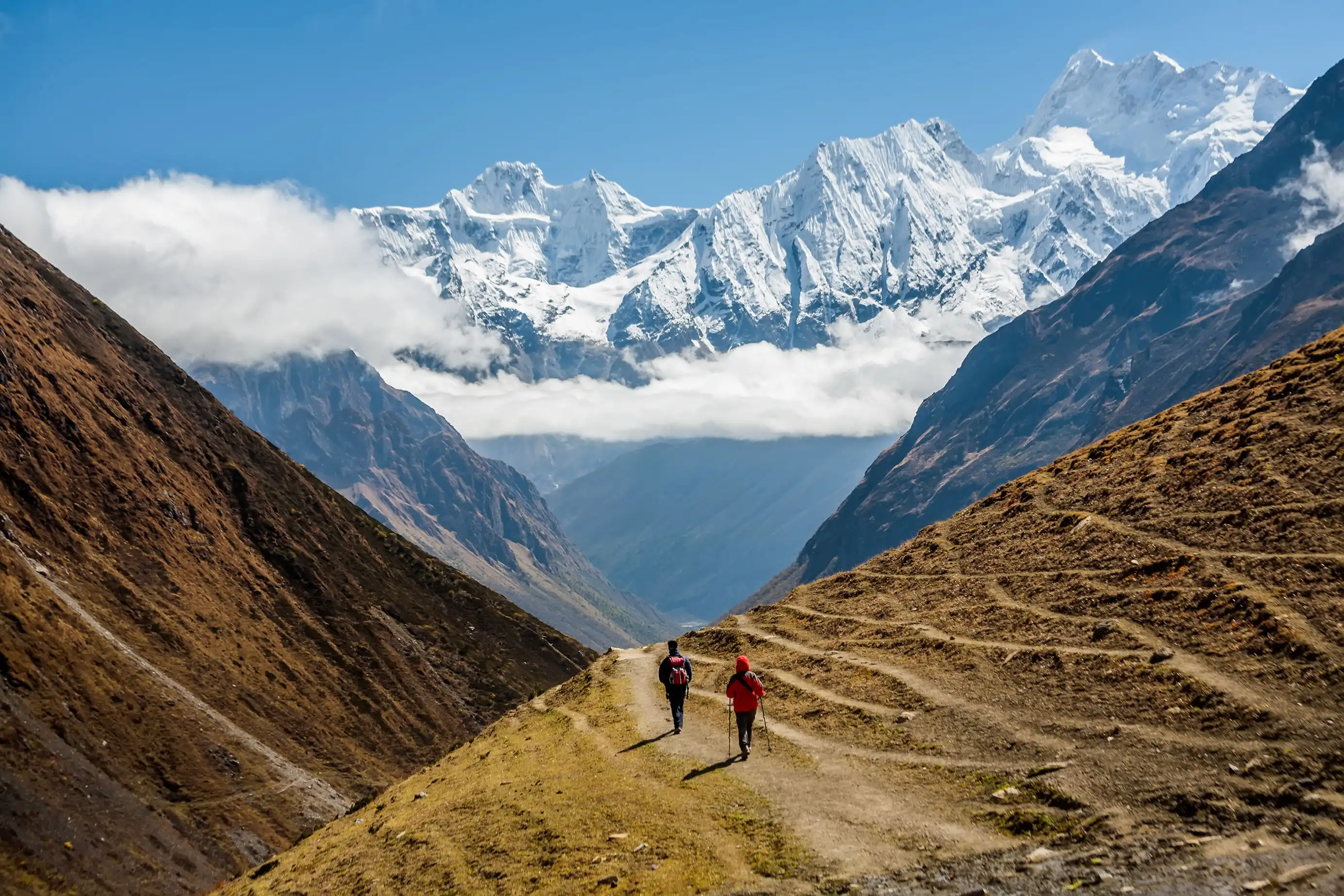 Hikers walking in Tsum Valley with snowy peaks.