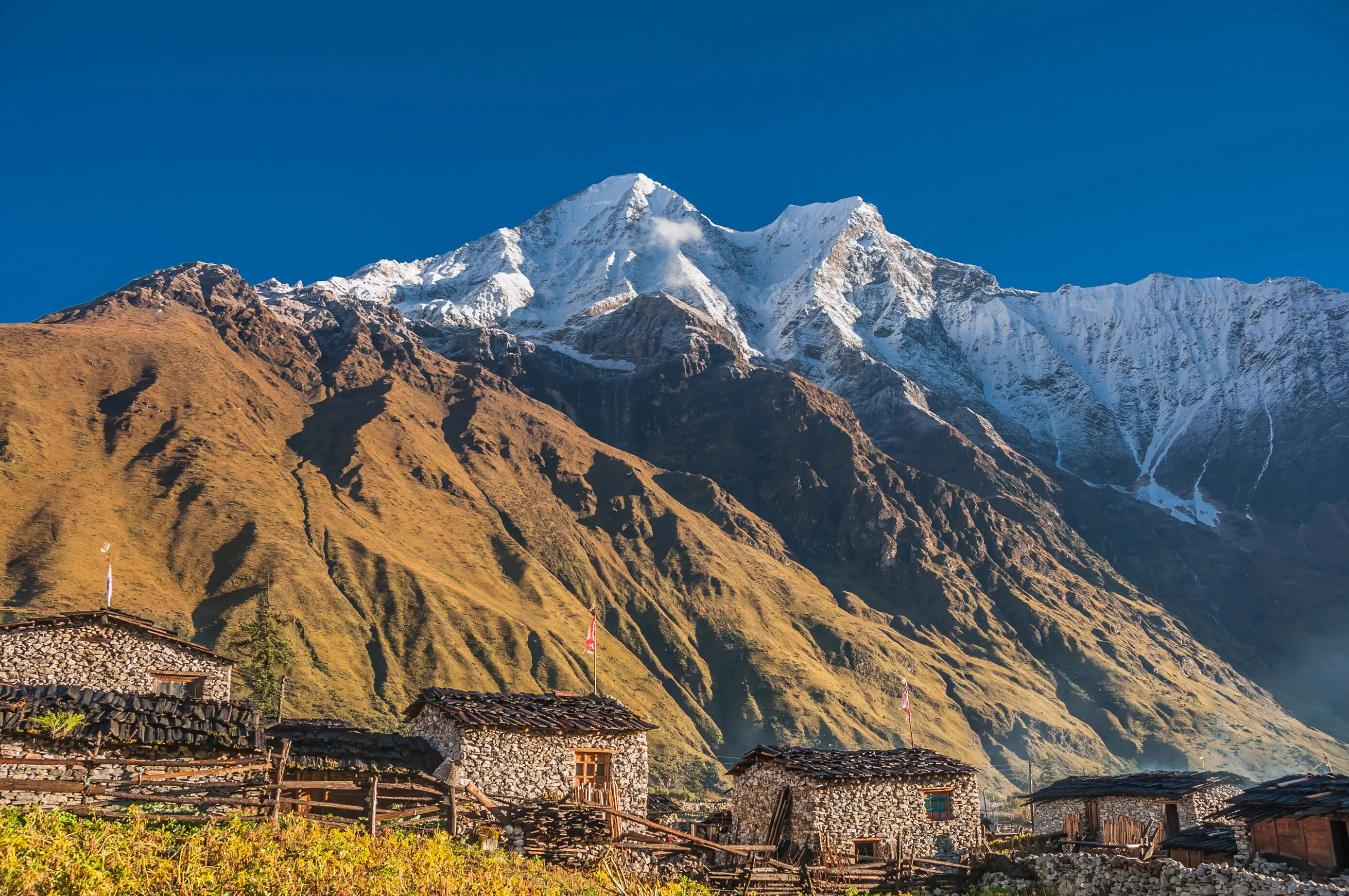 Rustic stone houses with snow-capped mountain in Tsum Valley, Manaslu Circuit.