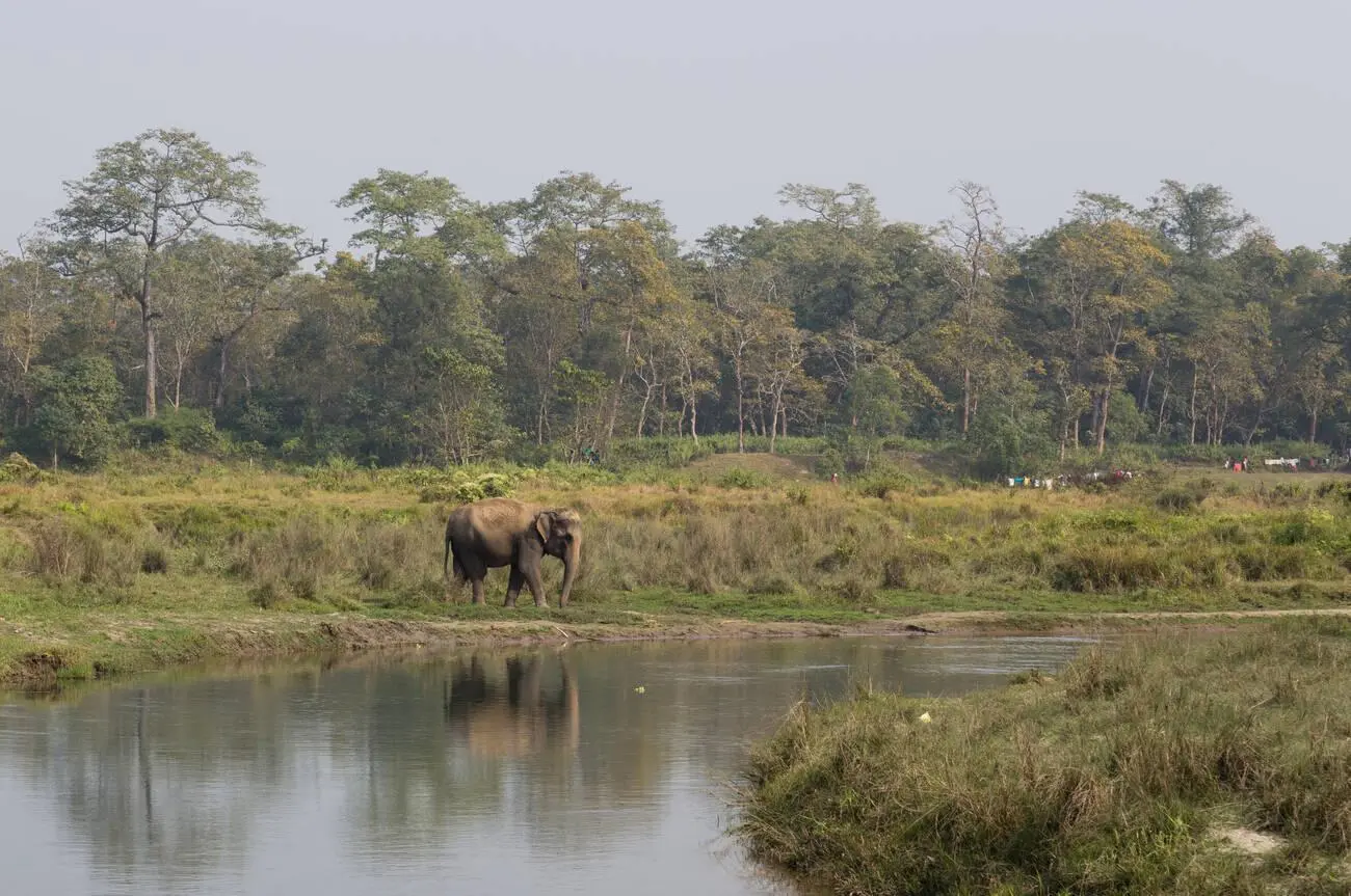 Kathmandu Pokhara Chitwan Tour