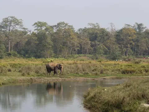 Kathmandu Pokhara Chitwan Tour
