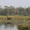 Kathmandu Pokhara Chitwan Tour