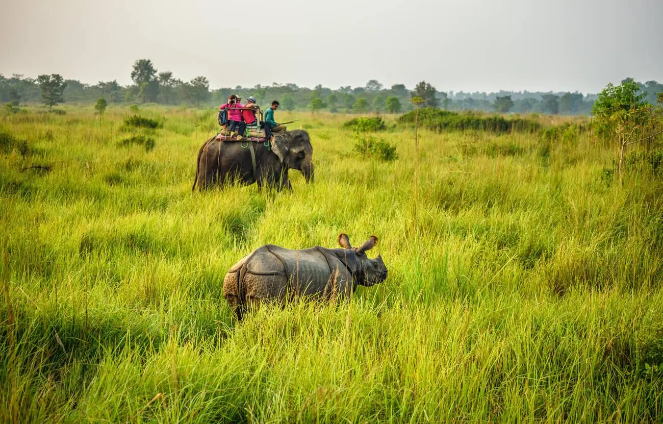 Kathmandu Chitwan Tour