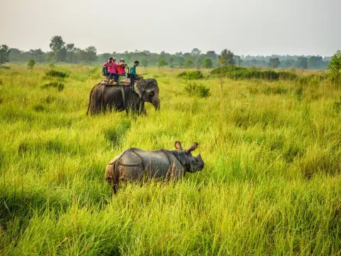 Kathmandu Chitwan Tour