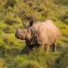 Chitwan Wildlife Adventure Tour