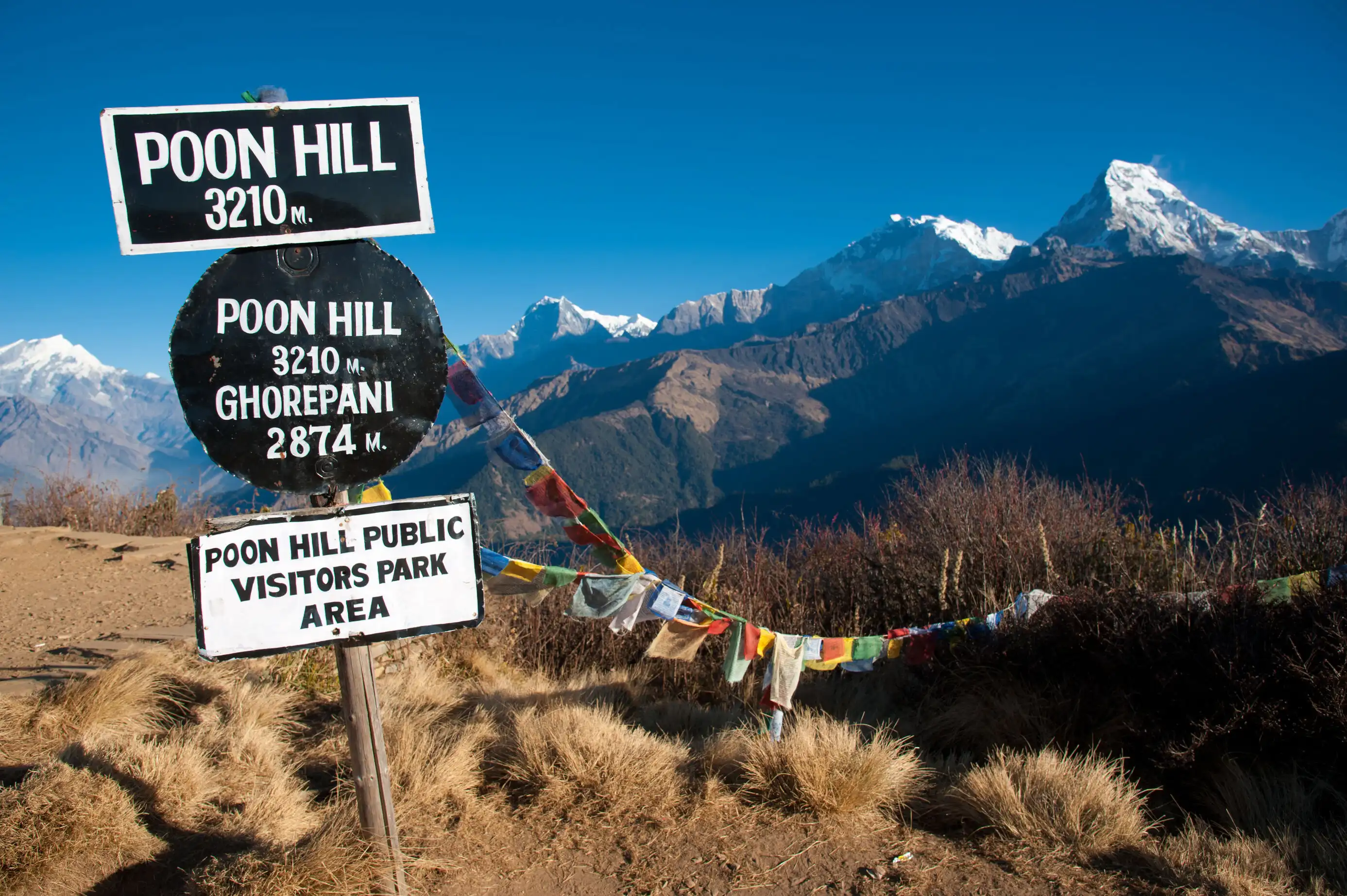 Colorful prayer flags and signs at Poon Hill with snow-capped mountains and clear sky.