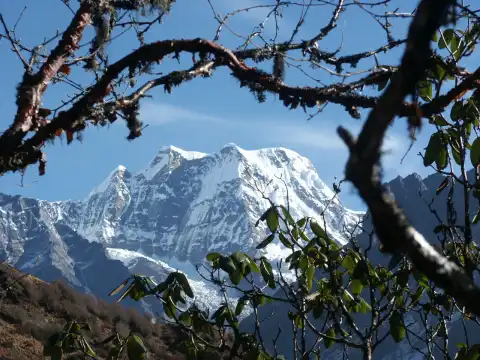Trekking in Nepal with Adventure Family Treks & Expedition