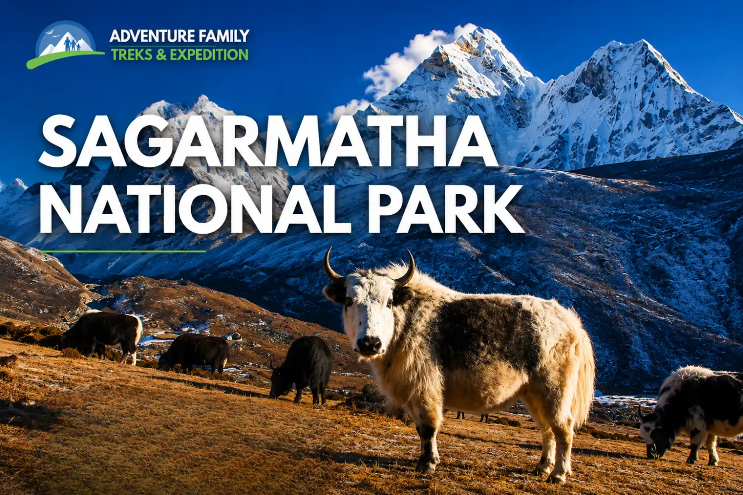 Sagarmatha National Park: Home of Mount Everest and Sherpa Culture