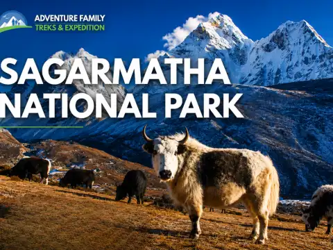 Sagarmatha National Park: Home of Mount Everest and Sherpa Culture