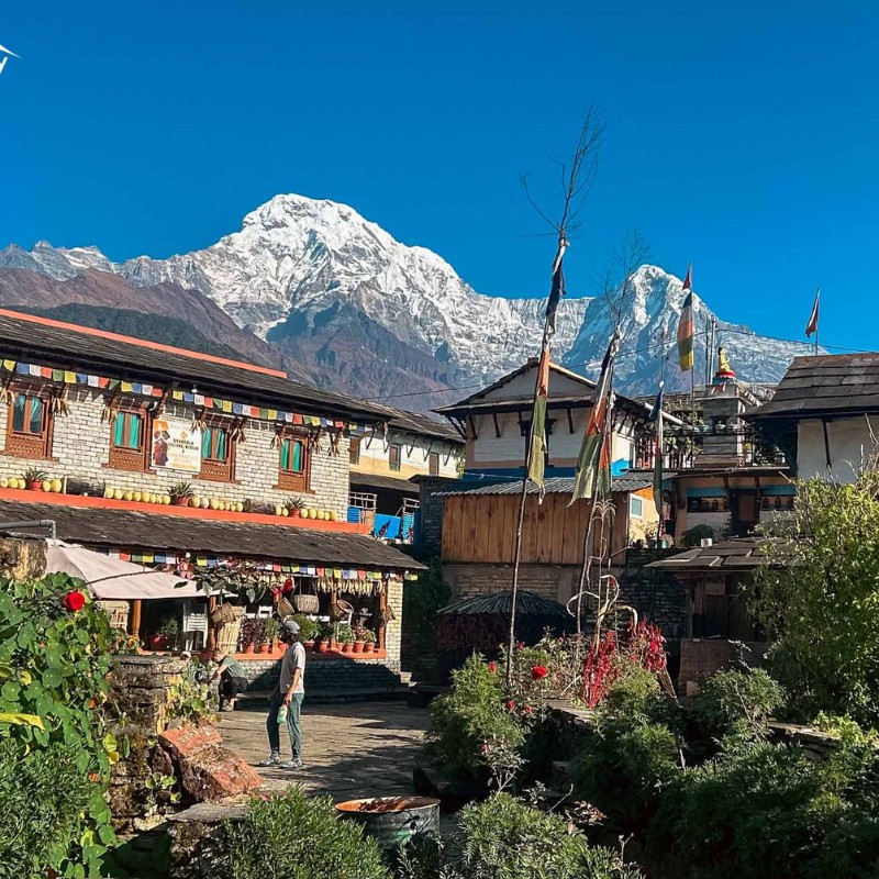 Ghandruk village in Nepal during spring with traditional houses and snow-capped Annapurna mountains