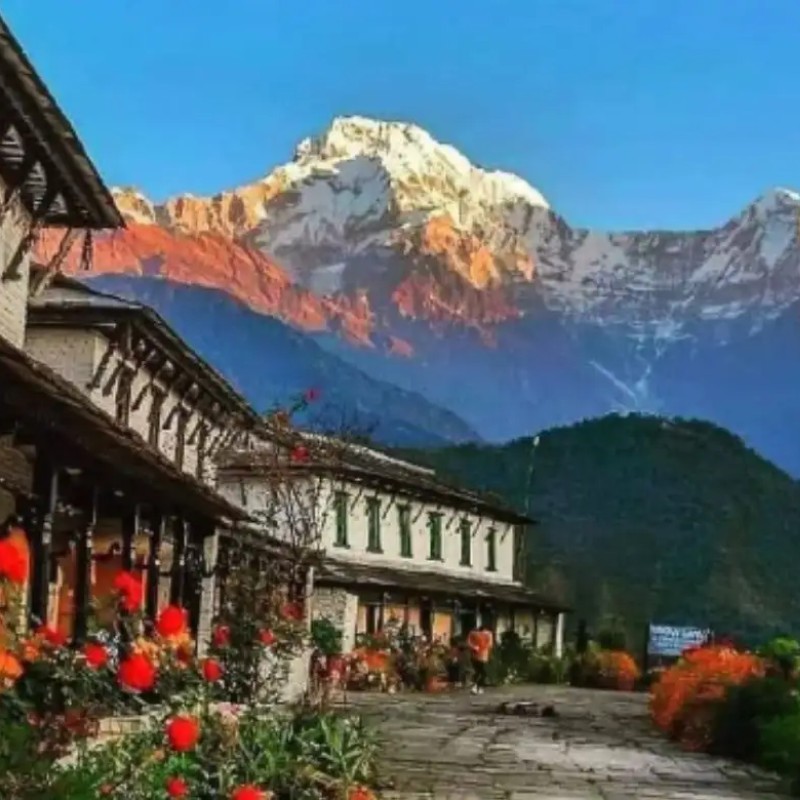 Local homestay in Ghandruk, Nepal with stunning South Annapurna mountain views and colorful flowers